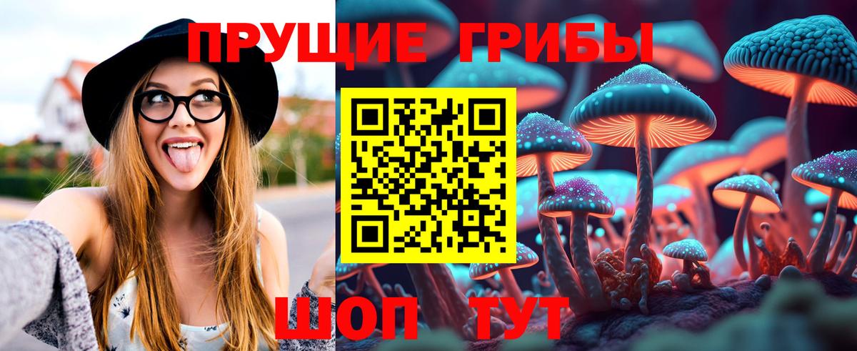 Галлюциногенные грибы прущие грибы Казань