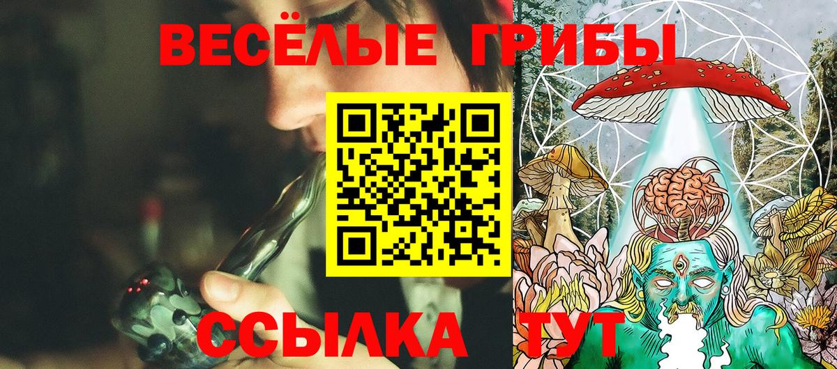 Псилоцибиновые грибы Magic Shrooms  Галлюциногенные грибы Cubensis  Вход с VPN  Казань 
